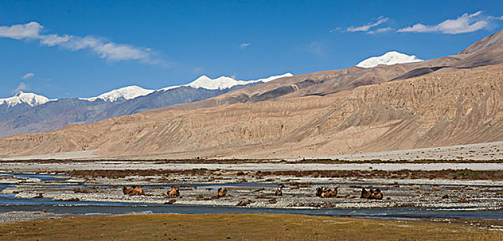 新疆喀喇昆仑山