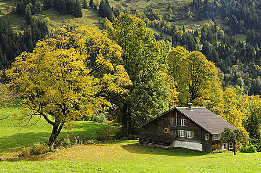 农舍,山坡,格林德威尔,伯尔尼阿尔卑斯山,瑞士