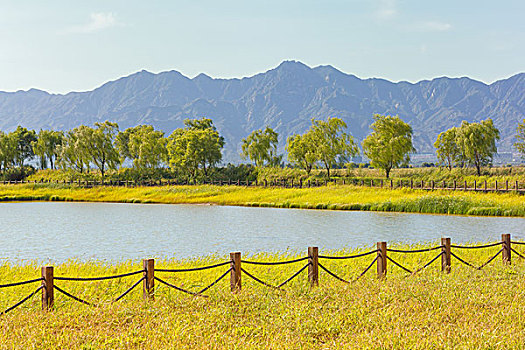 北京野鸭湖湿地公园