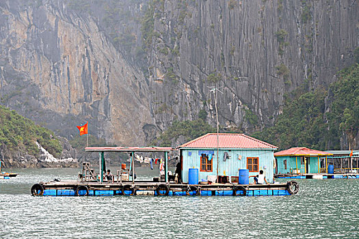 漂浮,捕鱼,乡村,下龙湾,长,北越,越南,东南亚,亚洲