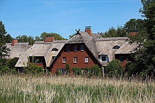 特色,茅草屋顶,房子,阿伦斯霍普,梅克伦堡前波莫瑞州,德国,欧洲