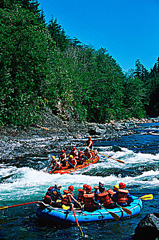 河,命运,温哥华岛,不列颠哥伦比亚省,加拿大