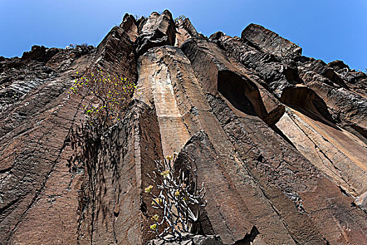 柱子,火山岩,大帝谷,加纳利群岛,西班牙,欧洲