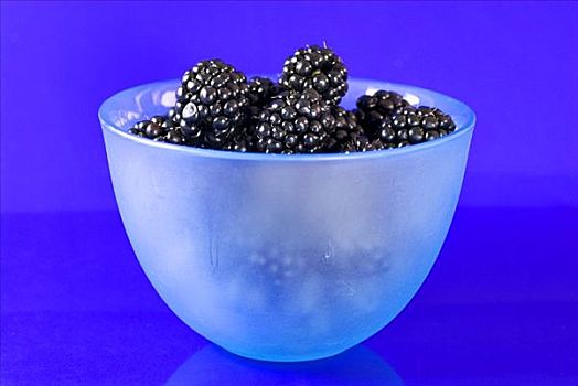 黑莓,小碗