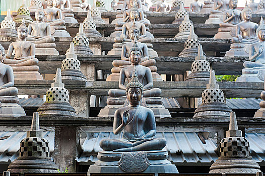 许多,佛像,不同,手印姿势,寺庙,庙宇,科伦坡,斯里兰卡,亚洲