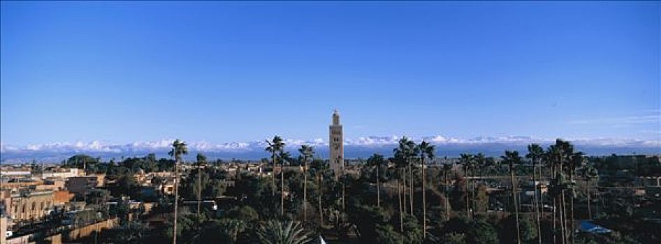 摩洛哥,玛拉喀什,库图比亚清真寺,雪山,后面