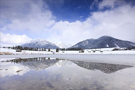 湖,冬天,加米施帕藤基兴,地区,上巴伐利亚,德国,欧洲