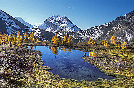 孤单,女性,露营者,旁侧,高山,水塘,卡纳纳斯基斯县,落基山脉,艾伯塔省,加拿大