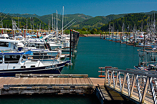 码头,渔港,俄勒冈,美国
