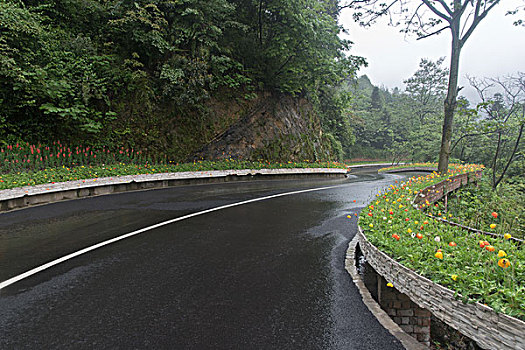 鲜花公路