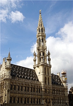 布鲁塞尔,市政厅,比利时