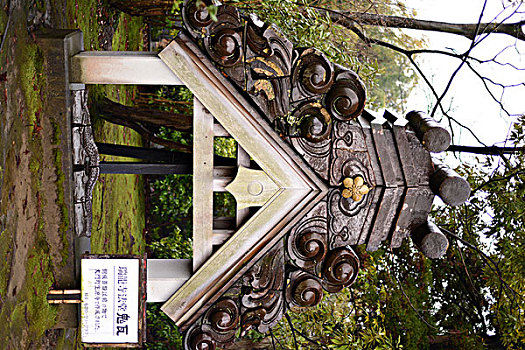 斑点,庙宇,日本