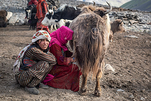 女士,女儿,牛奶,牦牛,遥远,住宅区,走廊,阿富汗