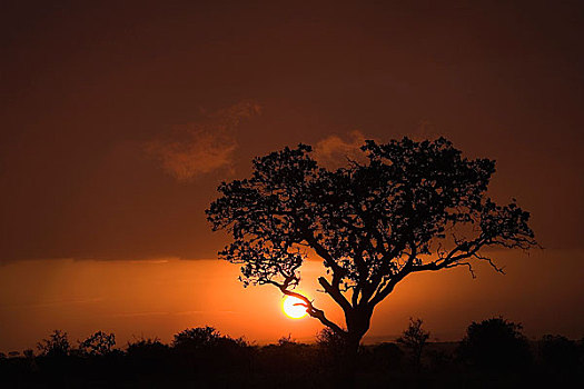 日落,非洲