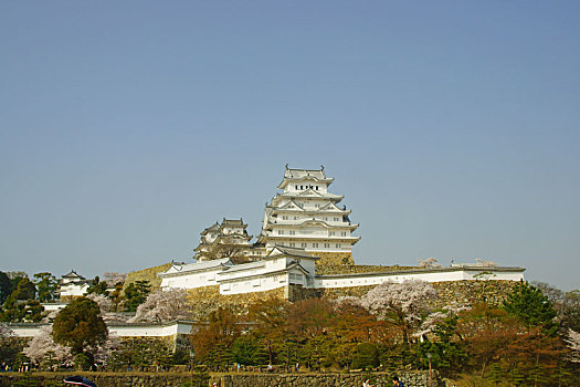 姬路城堡,春天,兵库,日本