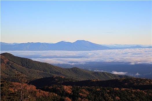 模糊,山,早晨