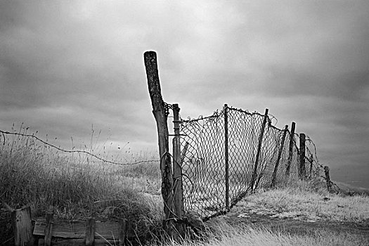 破损,栏杆,倒刺,线,草,盐,湿地,风暴,天空,旺迪,法国,2008年