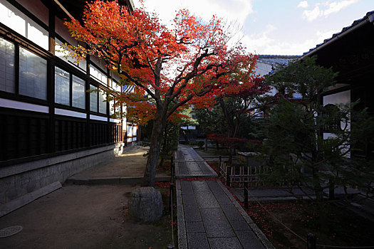 日本京都退耕庵