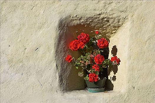 花,凹室,中世纪,房子,乡村,维诺斯塔,南蒂罗尔,意大利