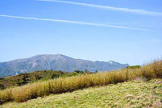 秦岭高山草甸