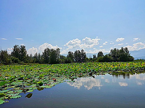 邛海湿地公园