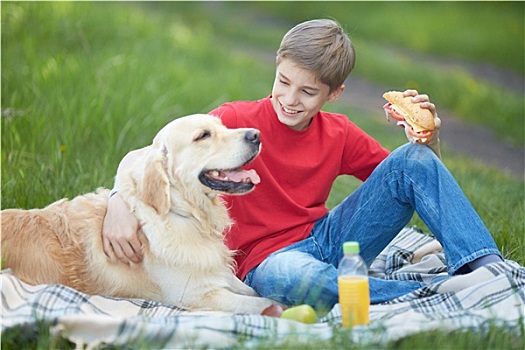 野餐,狗