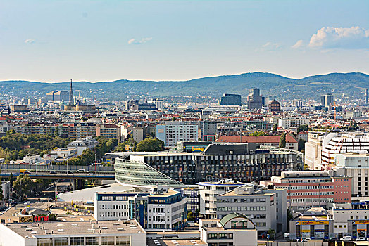 维也纳,市中心,教堂,圣斯特凡大教堂,大教堂,俯视,奥地利