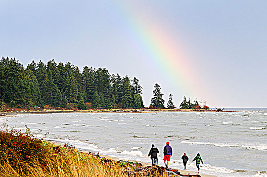 家庭,走,海滩,不列颠哥伦比亚省,加拿大