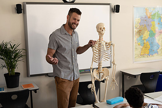 侧面视角,高兴,男性,教师,解释,人体骨骼,模型,教室