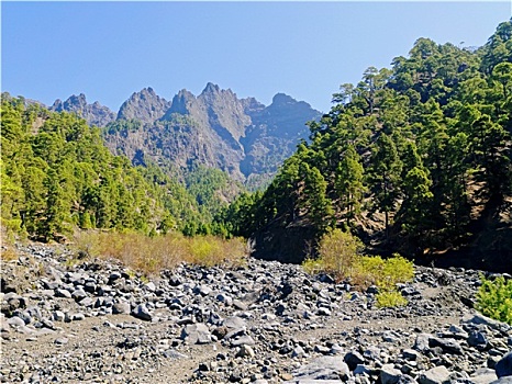 火山口,国家公园,帕尔玛