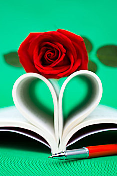 页面,书本,弯曲,心形,玫瑰