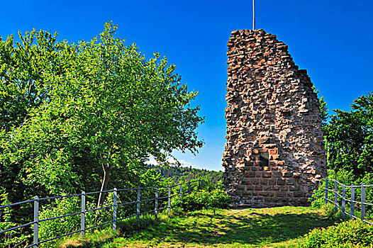 城堡,遗址,自然保护区,莱茵兰普法尔茨州,德国,欧洲
