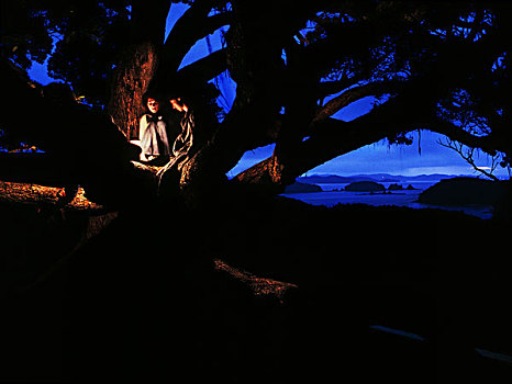 三个,人,照亮,向上,坐,树,黃昏,湾,岛屿,背景,新西兰