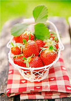 新鲜,草莓,小,白色,篮子