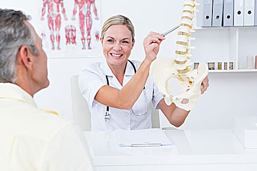 医生,展示,病人,脊椎,模型,诊所