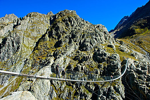 桥,吊桥,阿尔卑斯山,峡谷,山谷,伯恩,瑞士,欧洲