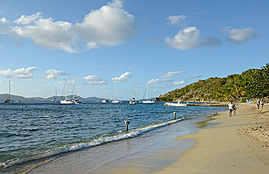 加勒比,英属维京群岛,岛屿,沙滩,湾,大幅,尺寸