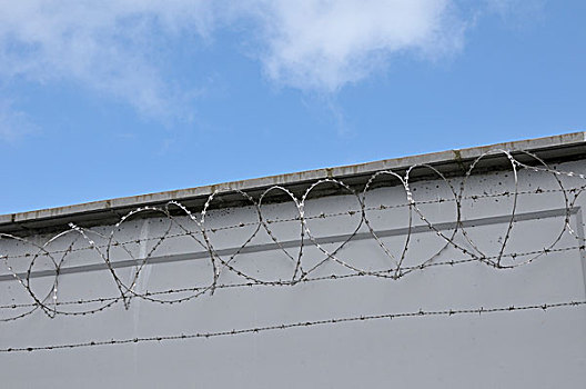 刺铁丝网,上面,墙壁,布雷斯特,布列塔尼,法国