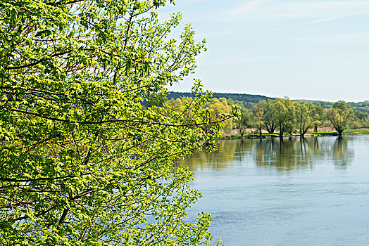 勃兰登堡,河,自然保护区