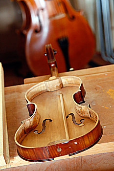 工匠,弦乐器工匠,特写,小提琴