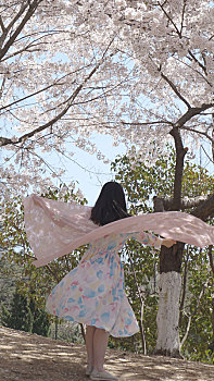 一个女孩在樱花树下翩翩起舞