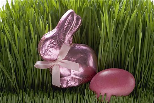粉色,复活节兔子,复活节彩蛋,草丛