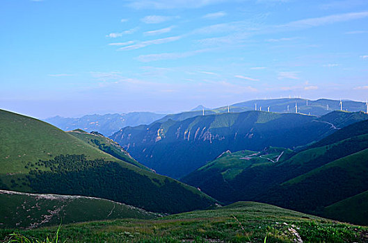 茶山夏天