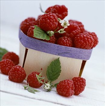 树莓,扁篮