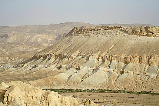 沙丘,沙漠,以色列