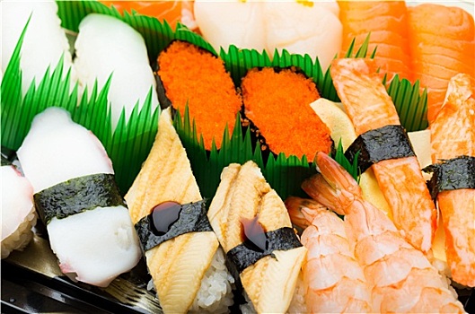 种类,日本,寿司