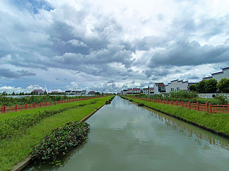 乡野小河,河道绿化