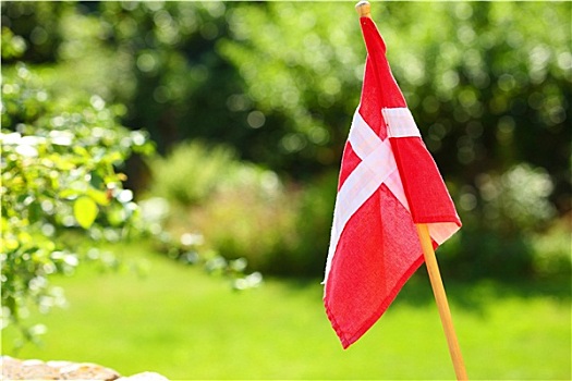 丹麦人,旗帜,绿色,草,背景