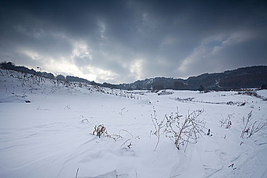 雪乡,雪村,吉林,临江市,村庄,山村,乡村,冬季,雪野,寒冷,农家,接待,旅游,松岭,东北,风情