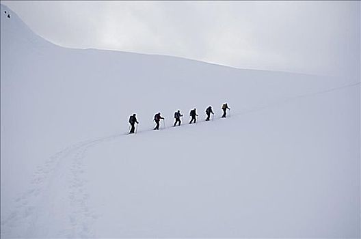 滑雪者,山坡,塞尔扣克山,不列颠哥伦比亚省,加拿大